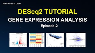 DESeq2 workflow tutorial  Differential Gene Expression Analysis  RNA Seq [upl. by Glynas]