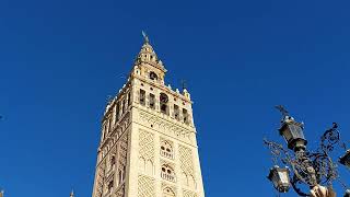 Glockengeläut der Giraldacampanas de la Giralda Sevilla vor der Palmsonntagsmesse [upl. by Edyaj]