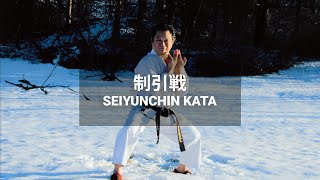 Exploring Seiyunchin Kata in Karate GoJuRyu during Winter  Dojo Life [upl. by Wolfram]