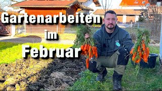 Gartenarbeit im Februar Radieschen säen Weinrebe schneiden letzte Ernte aus 2023 [upl. by Eirahs698]