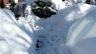 London Ontario Canada Snowstorm Snowmageddon Dec 9 2010 001avi [upl. by Elleneg449]