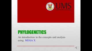 PHYLOGENETICS CCBY [upl. by Tserrof]