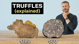 Why are Truffles so expensive Are they worth it [upl. by Azzil]