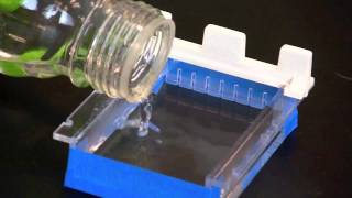 Casting an Agarose Gel [upl. by Janiuszck]