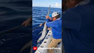 Swordfish Madness Watch full video on our channel pedrothepescatarian pescatarianfishing [upl. by Arlie]