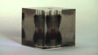 PH EM MF DEMO 70009A V0151 3D Magnetic Field Demonstrator Oil Filled Cube Bar Magnet [upl. by Ammadas]