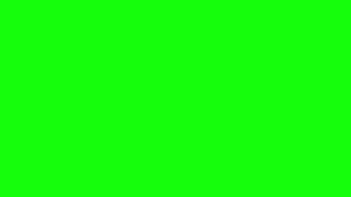 Green Screen  A Screen Of Pure Green For 10 Hours  Background  Backdrop  Screensaver  Full HD [upl. by Cazzie]