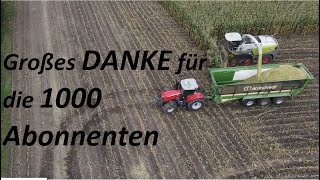 DANKE für 1000 Abonnenten  Getreide Mais amp Rübenernte  kleiner Einblick  Altmark  2021  4K [upl. by Lhary]