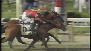 Victory Gallop Belmont Stakes 1998  Thrilling finish  Triple Crown lost by a nose [upl. by Knitter]