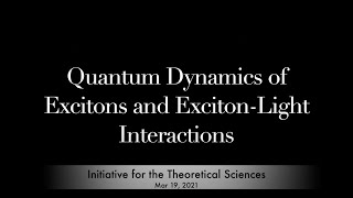 Quantum Dynamics of Excitons and ExcitonLight Interactions [upl. by Ribak]