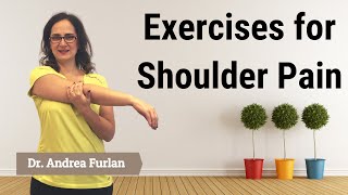 027 Fifteen Exercises for Shoulder Pain Impingement Bursitis Rotator Cuff Disease [upl. by Lucian]