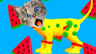 SUPER LITTLE KITTEN ADVENTURE AND CAT FRIEND CARTOON ADVENTURE JOURNEY AND FUNNY ANIMATED VIDEO [upl. by Adnertal104]