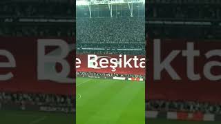 Kartal yuvası 🦅🦅 [upl. by Millford]