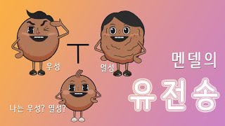 우성과 열성의 자손은 우성일까 멘델이 알려줄께  유전송  과학송 [upl. by Naujuj]