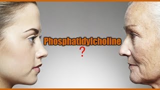 Phosphatidylcholine Lecithin Lesser Known AntiAging and Memory Supplements [upl. by Jolanta]