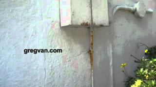 Rusting Electrical Conduit On House  Building Maintenance Tips [upl. by Rosette]