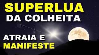 SUPERLUA DA COLHEITA  CHEGOU A HORA DE RECEBER ATRAIA E MANIFESTE [upl. by Dinnie]