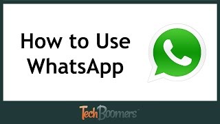 How to Use WhatsApp [upl. by Eillit]