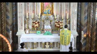 Graduale  Venite filii  Canto Gregoriano  Missa Tridentina  Traditional Latin Mass SUBTITLES [upl. by Yesnel642]