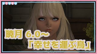 【FF14 暁月のフィナーレ60 11初見】知れば知るほどなにもわからない【 Vtuber  若葉ヒカセン Ramuh鯖 】 [upl. by Lockwood231]