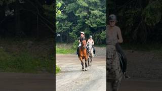 Full speed😱 Join Ella and her friend on a trail tide😍 shorts horse equestrian [upl. by Enyleve514]