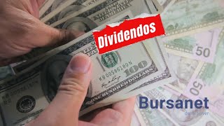 Cómo disponer de nuestros dividendos dolarizados en Bursanet [upl. by Lseil]