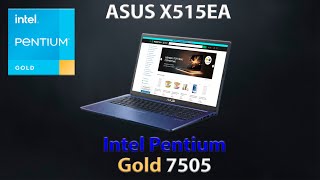 Обзор ноутбука ASUS X515 Pentium Gold 7505 [upl. by Varuag]