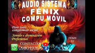 🎚️🔊🕺 ORQUESTAS CAYAMBEÑAS MIX 2024 🎚️🔊🕺  FÉNIX DJ [upl. by Tanhya]