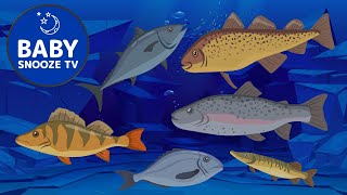 Relaxing Fish Lullabies with Calm Ocean Scene [upl. by Siravrat752]