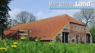 Sommer am Wattenmeer  die schönsten Höfe Norddeutschlands NDR [upl. by Torrey]