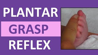 Plantar Grasp Reflex in Infant Newborn  Pediatric Nursing Assessment [upl. by Jasmine]