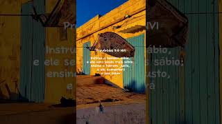 Provérbios 99 NVI Instrua o homem sábio e ele será ainda mais sábio ensine o homem justo [upl. by Laehcar]