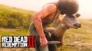 PERDIDO NO FAROESTE 1  COMEÇANDO DO ZERO NO MODO SOBREVIVÊNCIA  Red Dead Redemption 2 [upl. by Compton]