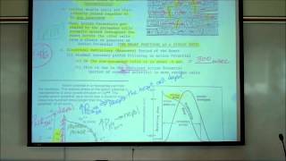 CARDIAC PHYSIOLOGY PART 2 by Professor Finkwmv [upl. by Rustie]