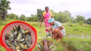 santali tribe old couple catching fish in field and cooking fish curry for lunch [upl. by Eeresid888]