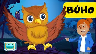 Curiosidades de los BUHO 🦉🌙 Videos educativos para NIÑOS 😊😊😊 [upl. by Ayocal]