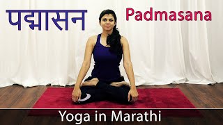 Padmasana in Marathi  Yoga Asana  Yoga For Weight Loss  Pebbles Marathi [upl. by Yahsed]