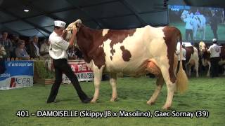 Concours National Montbéliarde 2013  Meilleure Mamelle Adulte et Championne Adulte [upl. by Catharina400]