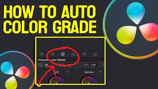 How To Auto Color Grade In Davinci Resolve 18 [upl. by Melvin314]