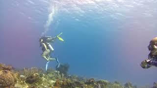 Tour mexico cozumel diving [upl. by Noslrac]