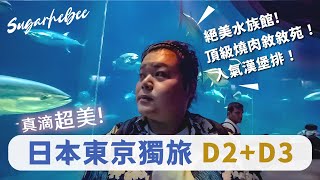 日本東京獨旅Vlog🇯🇵✈️｜Day2、Day3｜東京必去超美水族館～🤩｜葛西臨海水族園、寶可夢中心東京灣店、Hamburg 嘉、Fuglen Coffee、敘敘苑、東京鐵塔 [upl. by Amitie295]