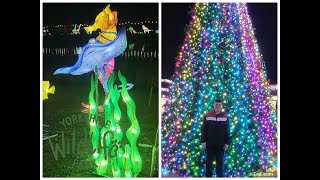 Jawdropping Winter Wonderland Lights At Yorkshire Wildlife Park [upl. by Daffi]