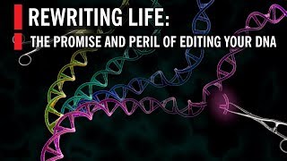 Editing Our DNA with CRISPR The Promise and Peril of Rewriting Life [upl. by Toms654]