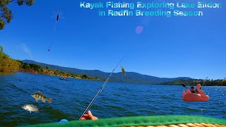 Kayak Fishing Exploring Lake Eildon in Redfin Breeding Season [upl. by Sells86]