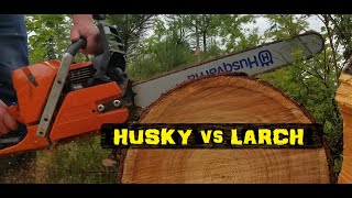 Husqvarna 372XP  Rainforest test [upl. by Edward]