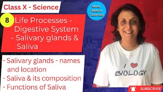 Class X Science  Life Processes  Salivary Glands and Saliva  Neela Bakore Tutorials [upl. by Elyag432]