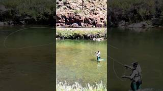 We hiked into Royal Gorge looking for trout I cant imagine a better day date with the wife trout [upl. by Nava]