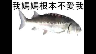 SPINNING FISH 4K 737474838364 FPS WITH LYRICS CHING CHENG HANJI BEST QUALITY [upl. by Diena897]