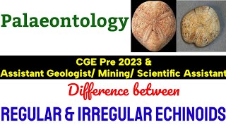 Regular vs Irregular Echinoid 🔥🔥 CGE Pre 2023 Assistant Geologist Mining Geologist S A [upl. by Terrye]