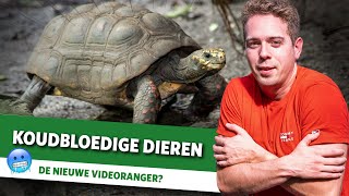 Wat zijn koudbloedige dieren [upl. by Mccarty]